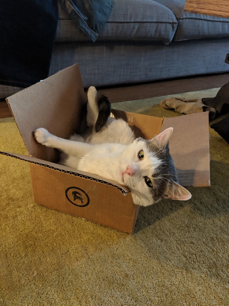 Backcountry Box. Verdict: 7/10